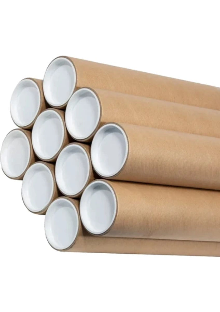 Sun Wanshuai 29x21cm Orijinal Karikatür BOD01594