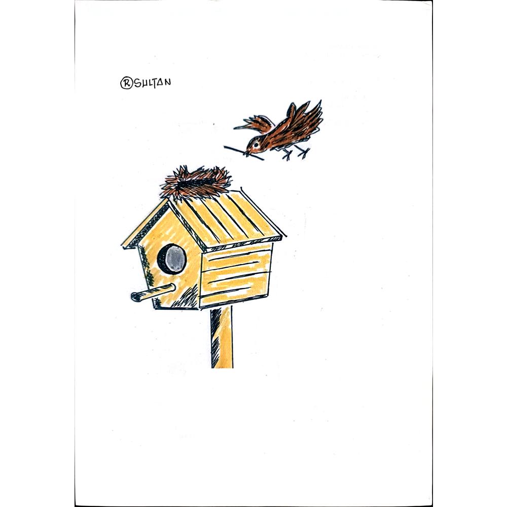 Resad Sultanovic 29x21cm Original Cartoon BOD00395