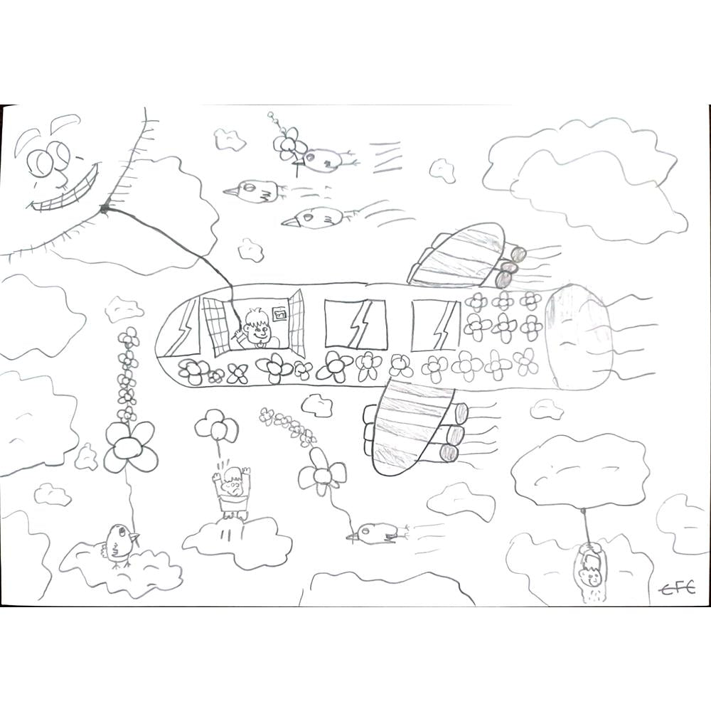 Efe 29x21cm Orijinal Karikatür BOD00577