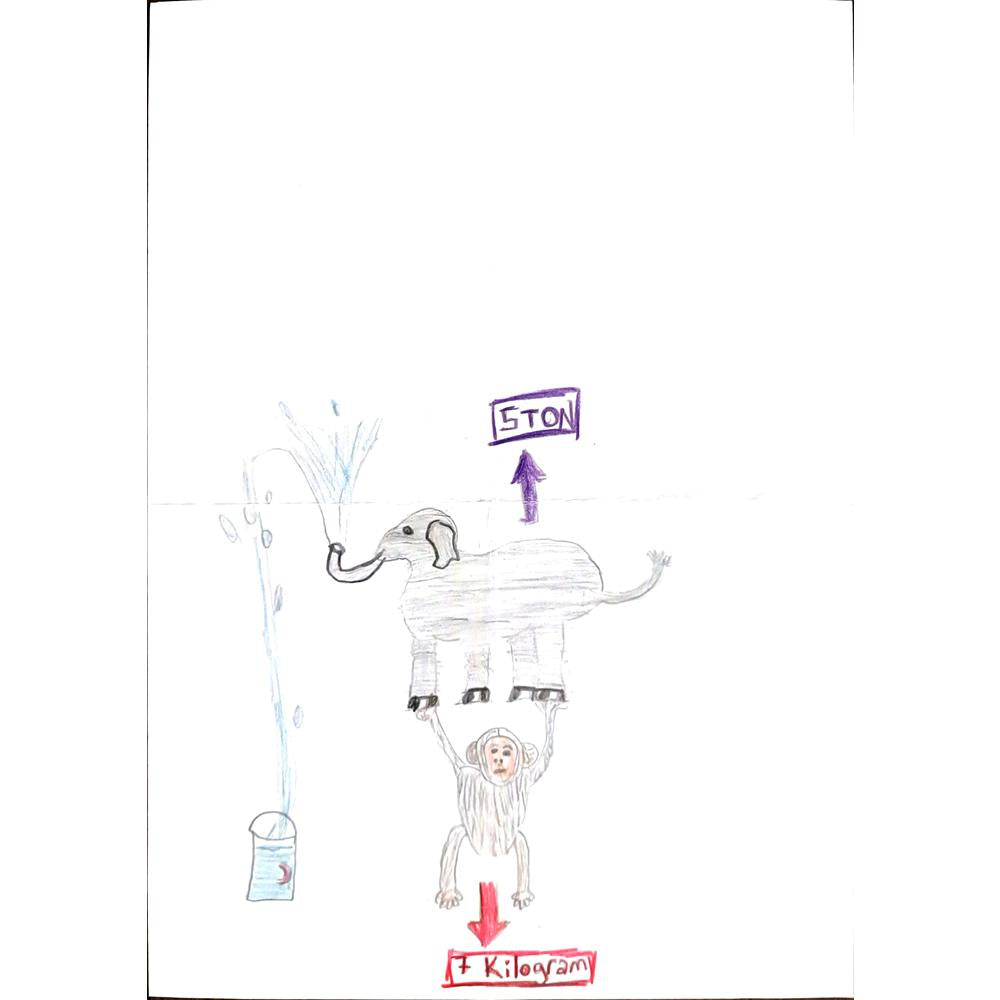 Miray Köksal 29x21cm Orijinal Karikatür BOD00600