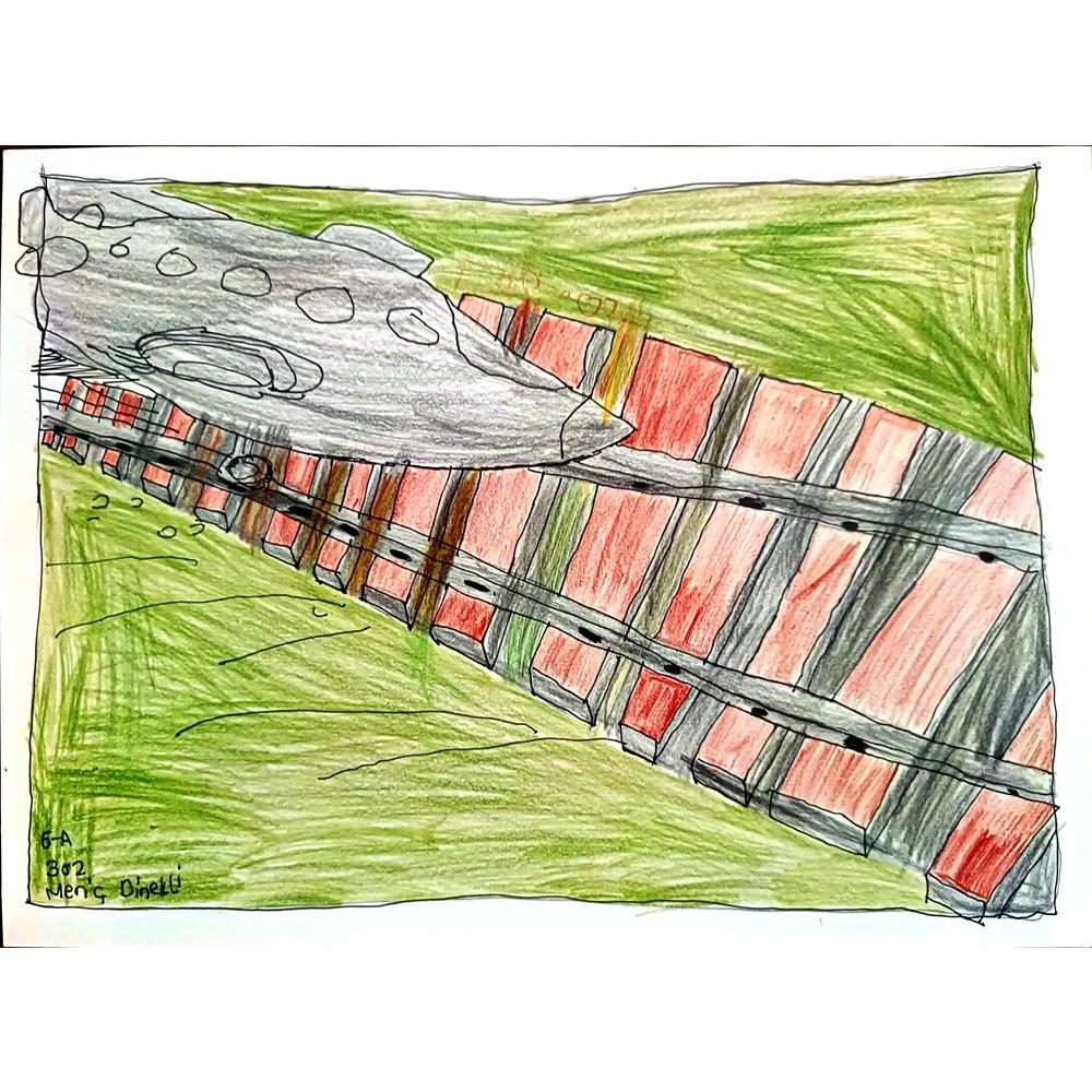 Meriç Dinekli 29x21cm Orijinal Karikatür BOD00615