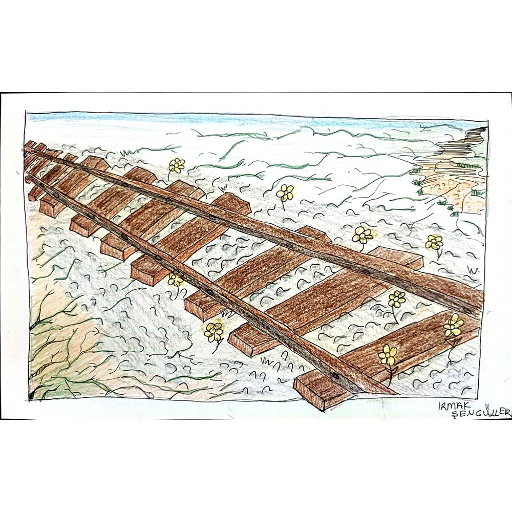 Irmak Şengüller 29x21cm Orijinal Karikatür BOD00616