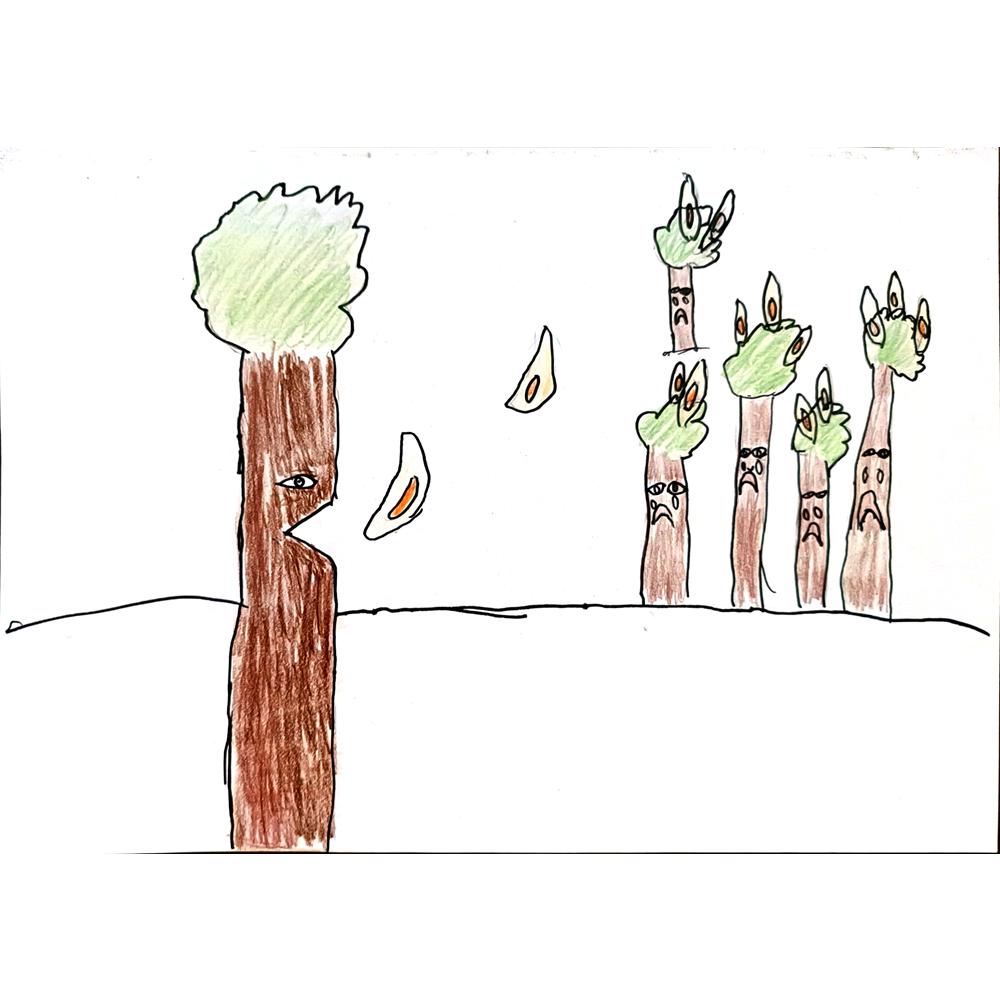 Sıla Güngören 29x21cm Orijinal Karikatür BOD00790