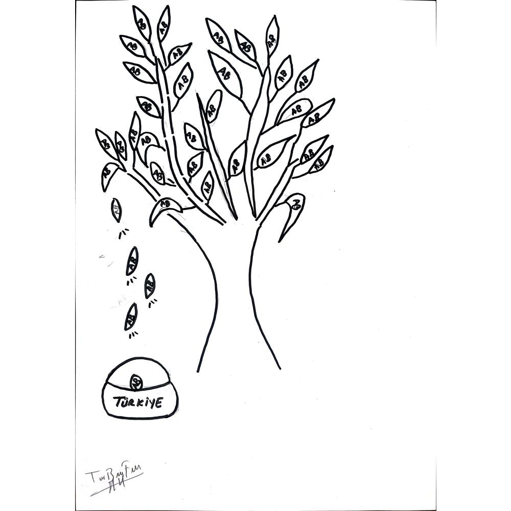 Tuğçe Fatma Başaran 29x21cm Orijinal Karikatür BOD01161