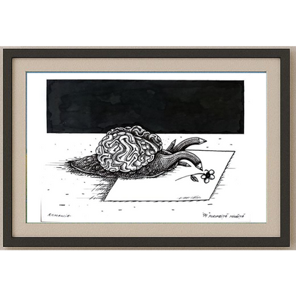 Porumbita Mihaita 29x21cm Orijinal Karikatür BOD01570