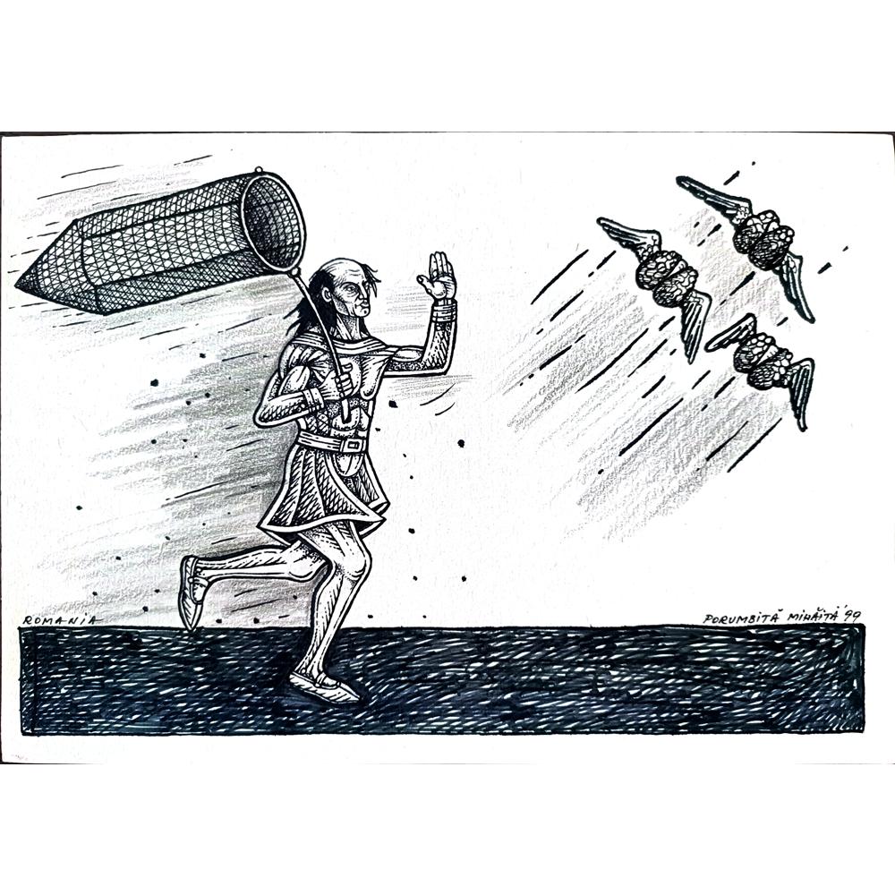 Porumbita Mihaita 29x21cm Orijinal Karikatür BOD01697