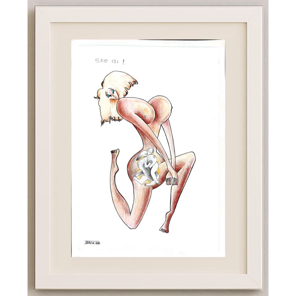 Tarek Seliem Mikhail 35x25cm Orijinal Karikatür BOD01766