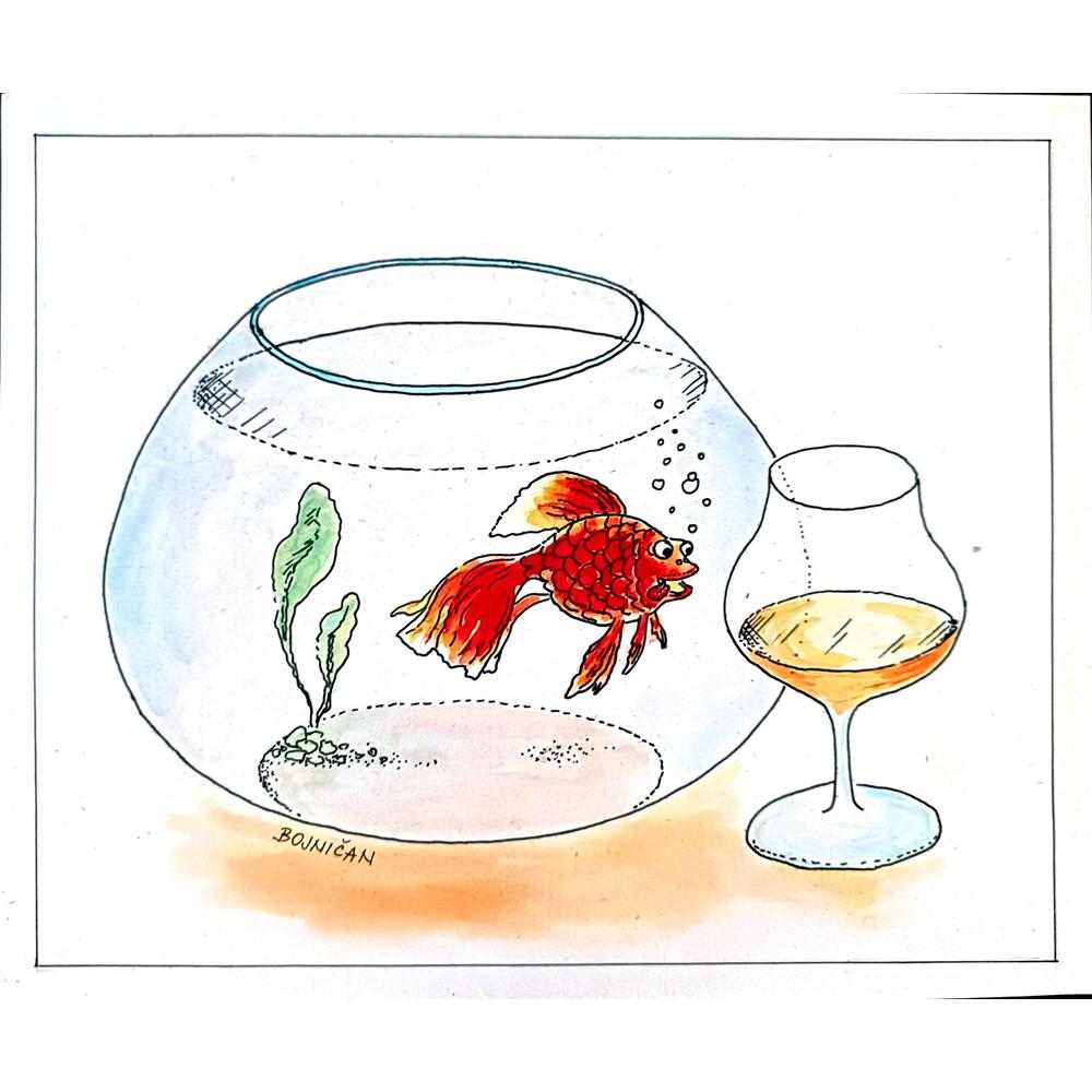 Frantisek Bojnican 25x21cm Orijinal Karikatür BOD02738