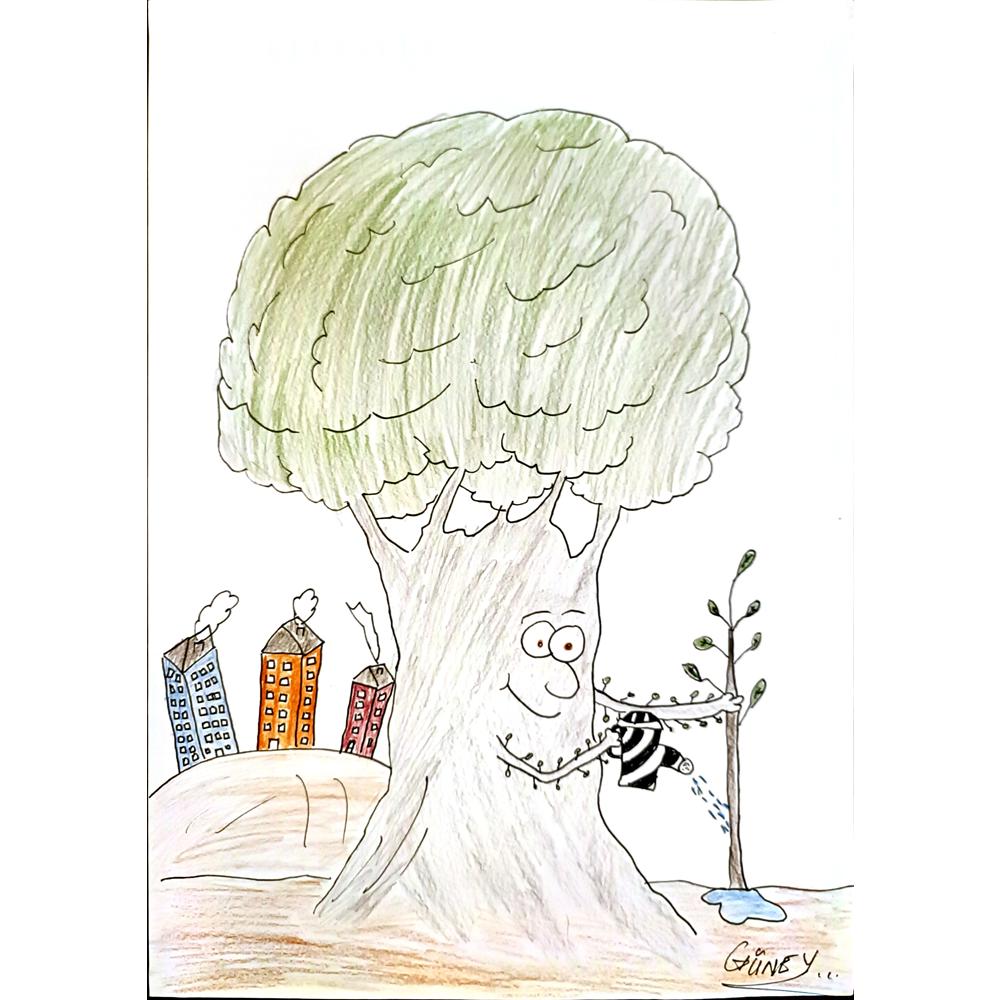 Güney Kızılateş 35x25cm Orijinal Karikatür BOD04491