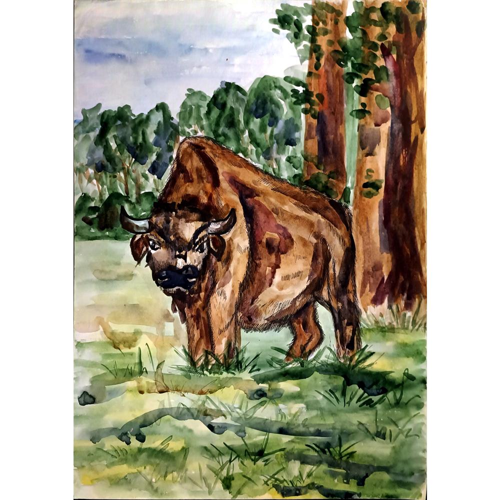 Ekaterina Zanchinskaya 43x30cm Orijinal Karikatür BOD05032