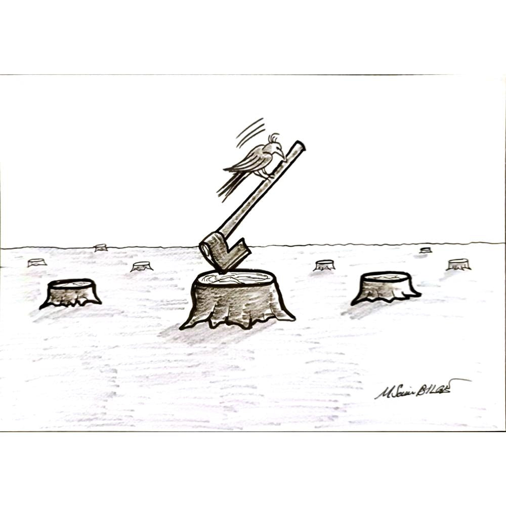 Mehmet Saim Bilge 29x21cm Orijinal Karikatür BOD05227