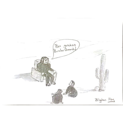Bilgehan Altay 29x21cm Orijinal Karikatür BOD06976